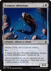 Product image for Écumeur silencieux