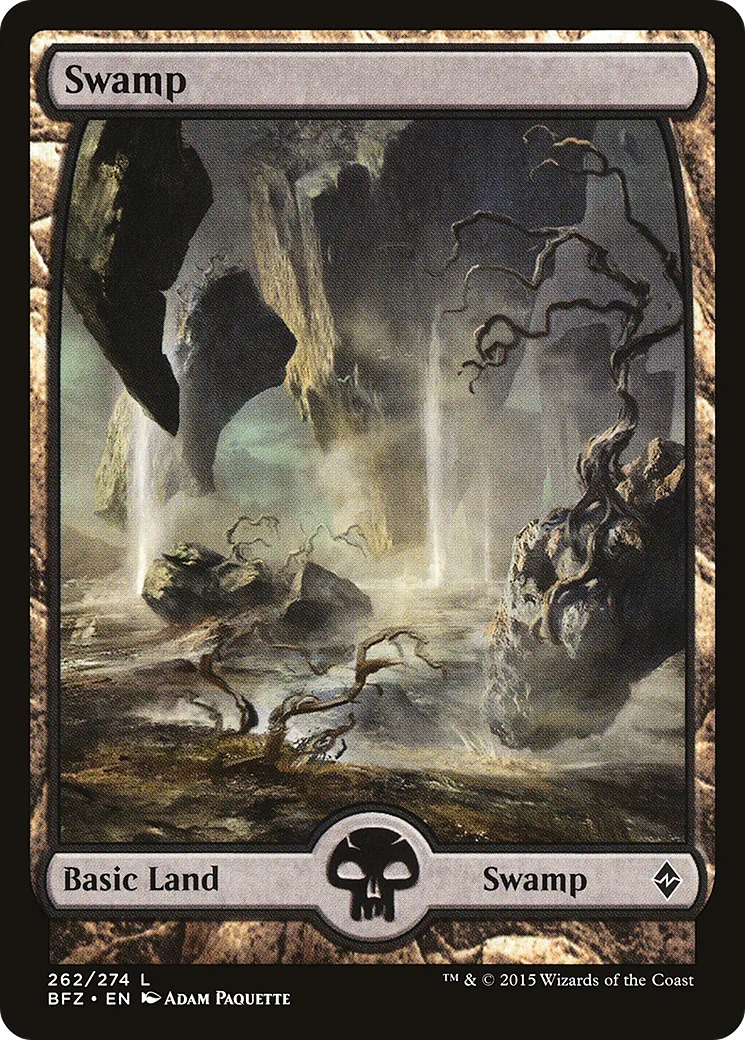 Swamp from Battle for Zendikar - Magic: The Gathering