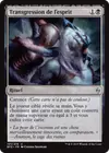 Product image for Transgression de l'esprit