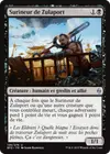 Product image for Surineur de Zulaport