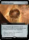 Product image for Orbe de torpeur
