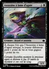 Product image for Assassine à lame d'agate