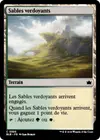 Product image for Sables verdoyants