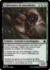 Product image for Cultivatrice de mortebaies