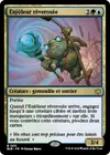 Product image for Enjôleur rêverosée