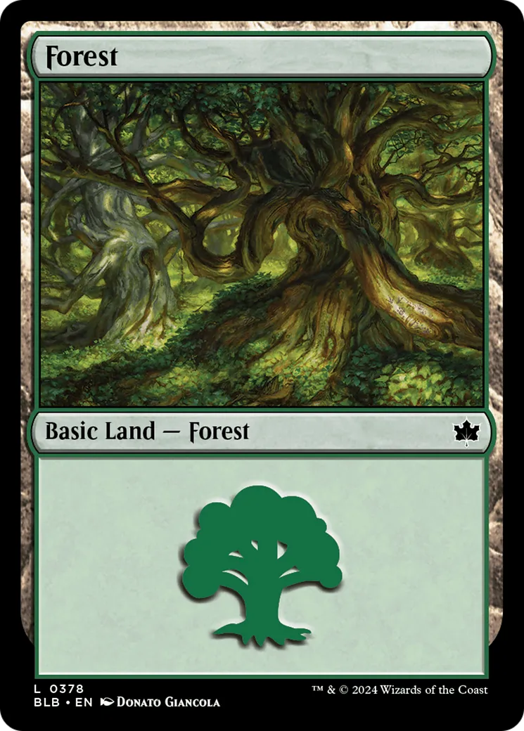 Forest — Bloomburrow — Magic: The Gathering