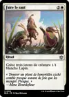 Product image for Faire le saut