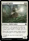 Product image for Intrepid Rabbit