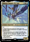 Product image for Kastral, huppée de vent