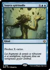 Product image for Source spirituelle