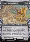 Product image for Expert ostéomancien