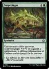 Product image for Surprotéger