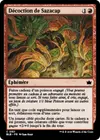 Product image for Décoction de Sazacap
