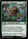 Product image for Sentinelle collelangue