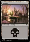 Product image for Swamp