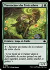 Product image for Tisseracines des Trois arbres