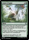 Product image for Avoir à l'usure