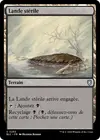Product image for Lande stérile