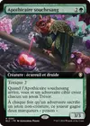 Product image for Apothicaire souchesang
