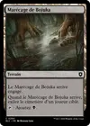 Product image for Marécage de Bojuka