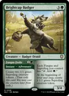 Product image for Brightcap Badger // Fungus Frolic