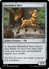 Product image for Burnished Hart