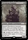 Product image for Envoûteuse bruyante