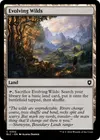 Product image for Evolving Wilds