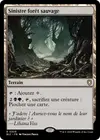 Product image for Sinistre forêt sauvage