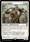 Product image for Jacked Rabbit