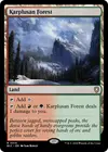 Product image for Karplusan Forest