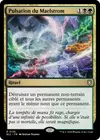 Product image for Pulsation du Maelstrom