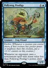 Product image for Pollywog Prodigy
