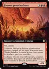 Product image for Faucon pyrofaucheur