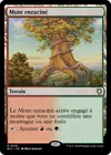 Product image for Mont enraciné