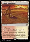 Product image for Prairie rocailleuse
