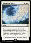 Product image for Tempête d'âmes