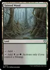 Product image for Tainted Wood