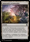 Product image for Immensité terramorphe