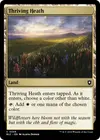 Product image for Thriving Heath