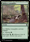 Product image for Halliers tranquilles