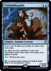 Product image for Triskaïdékaphile
