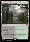 Product image for Cimetière des sylves