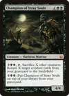 Product image for Champion of Stray Souls
