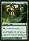 Product image for Graverobber Spider