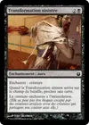 Product image for Transformation sinistre