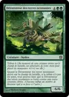 Product image for Dévastateur des terres nessiannes