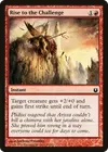 Product image for Rise to the Challenge
