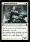 Product image for Esprit du Labyrinthe