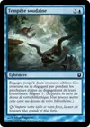 Product image for Tempête soudaine
